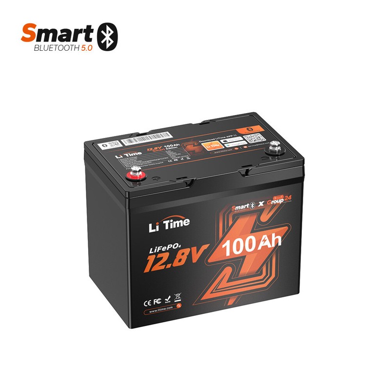 Litime 12V 100Ah Smart Bluetooth Group 24 LiFePO4 Lithium Battery For Solar RV