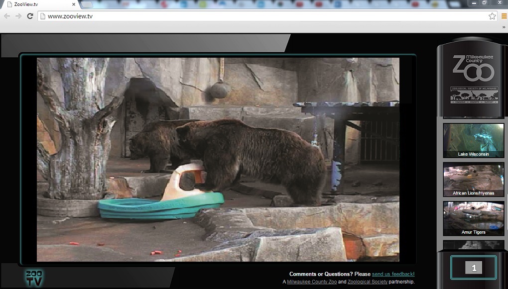 «GRAN HERMANO» DE ANIMALES