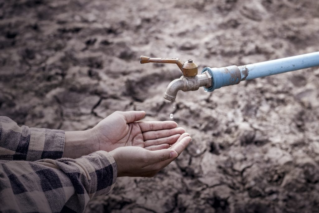 Emprendimiento mexicano obtiene el primer lugar del Softys Water Challenga