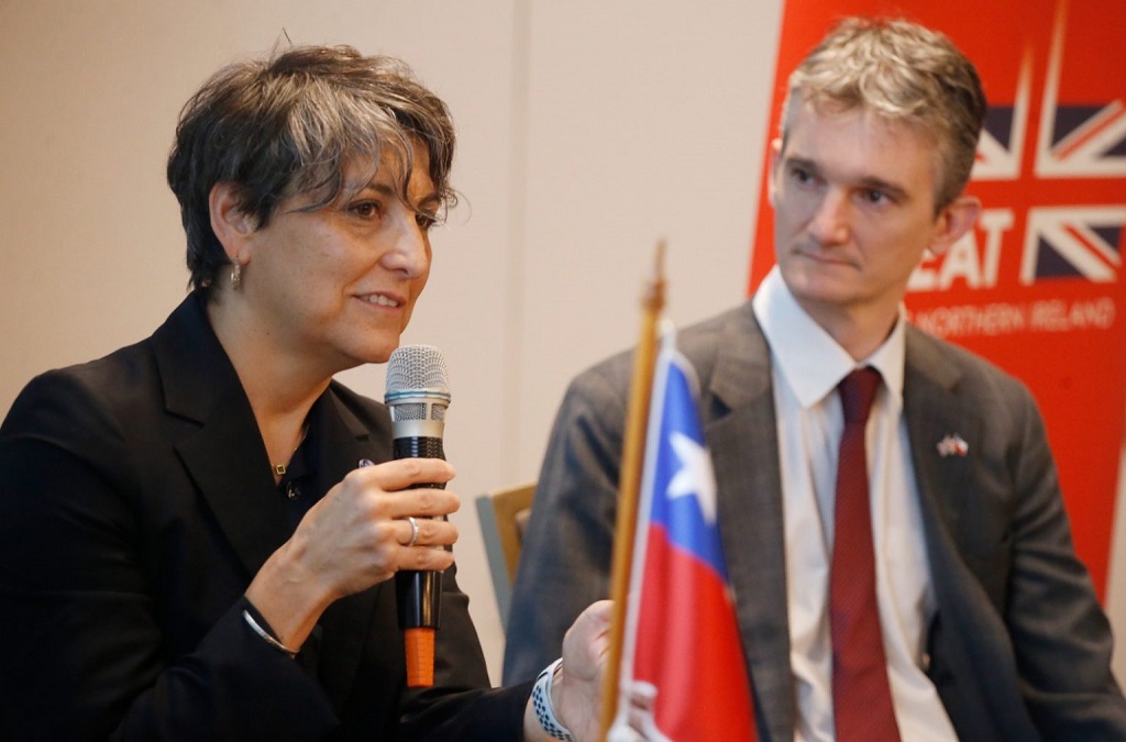 Chile y Reino Unido inician Jornada de intercambio de experiencias en Salud Digital