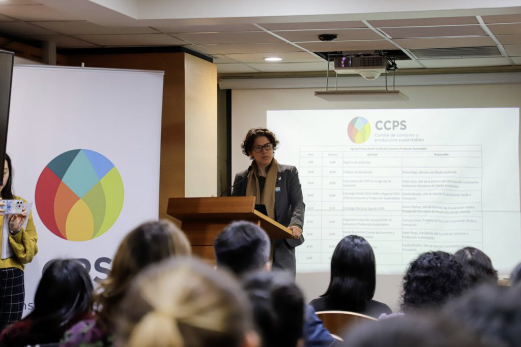 Chile avanza en desarrollo sostenible: Comité de Consumo y Producción Sustentables vivió su primera sesión