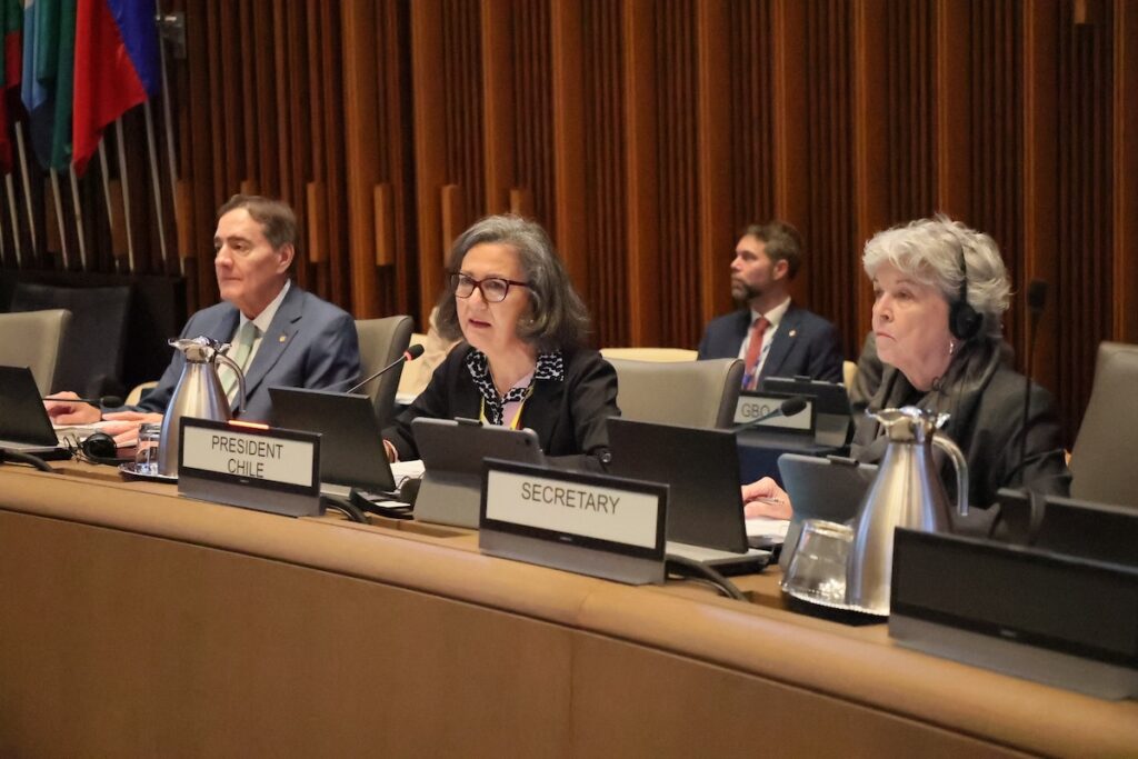 Ministra May Chomali destaca ante la OPS el rol de la tecnología y los datos para transformar la salud